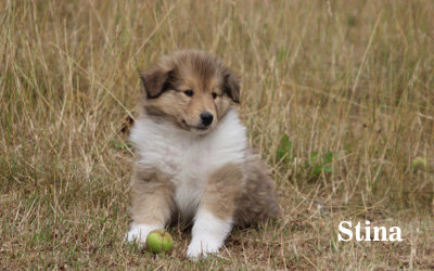 Stina - 7. Woche